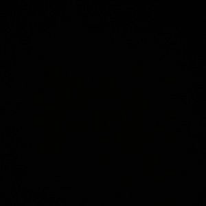 Meet your Posher, Dee